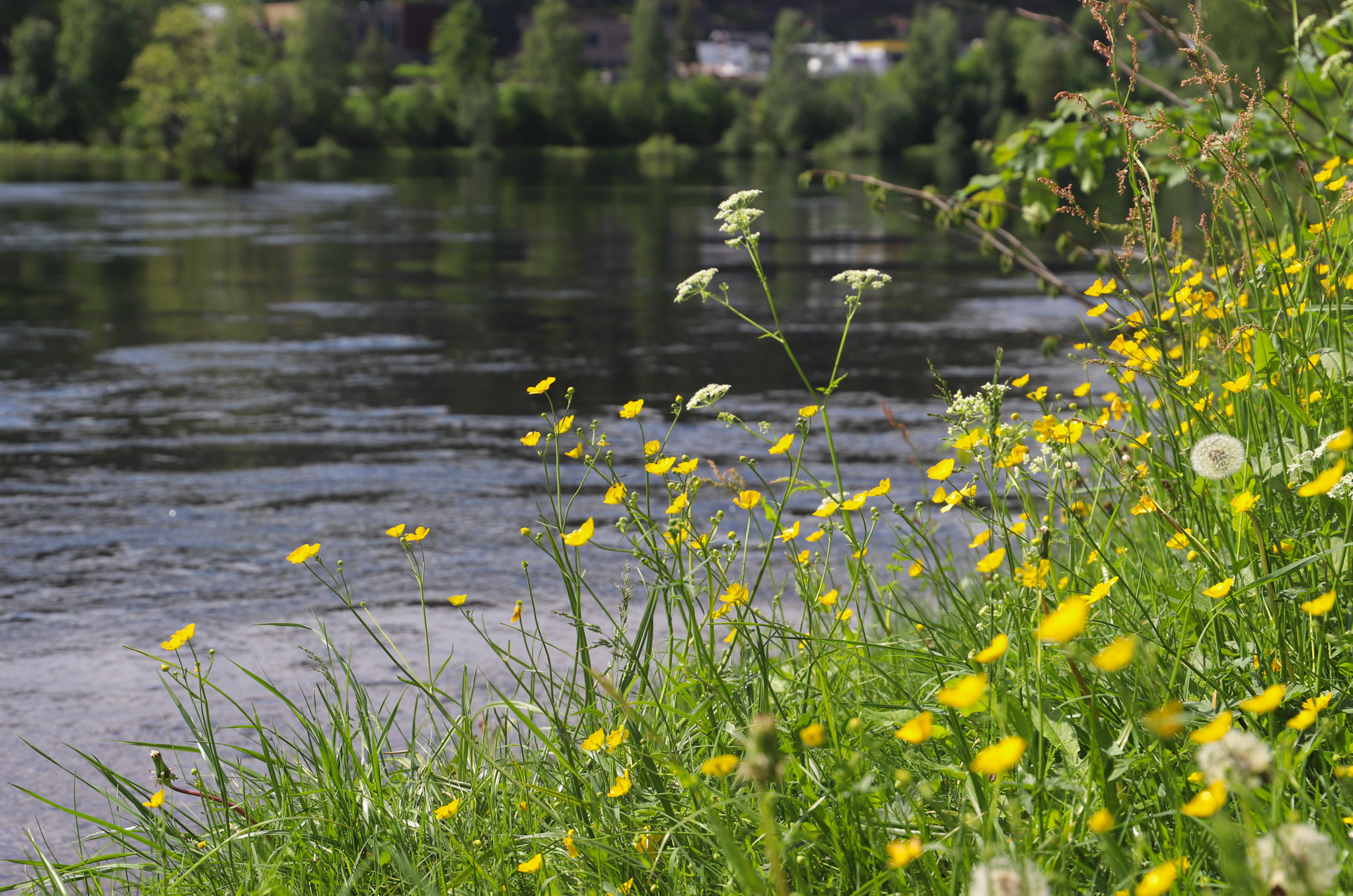 Kongsberg kommune Helse og omsorg